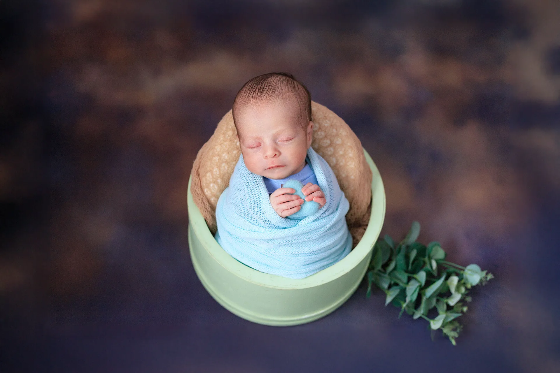 Ensaio newborn