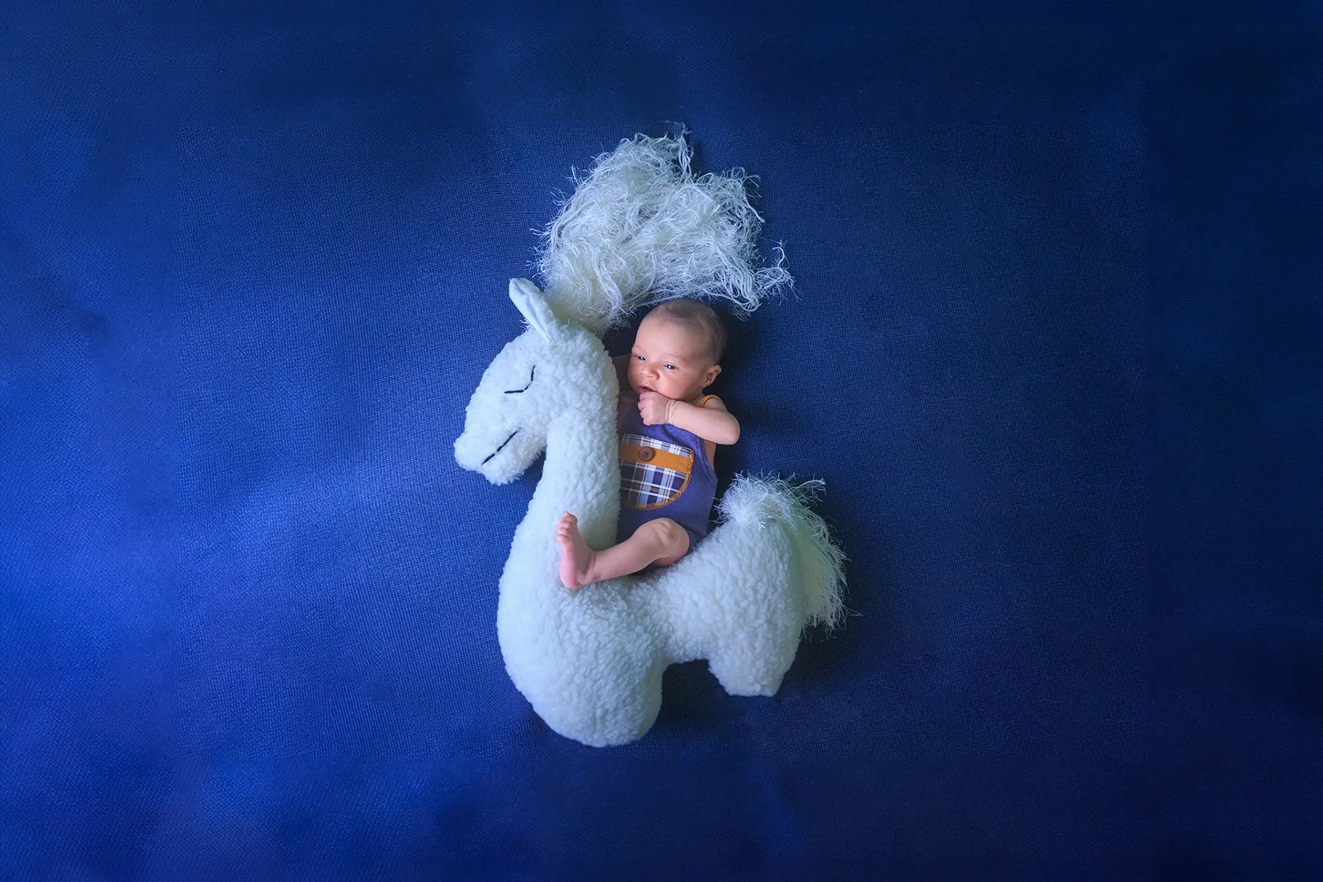 Ensaio newborn